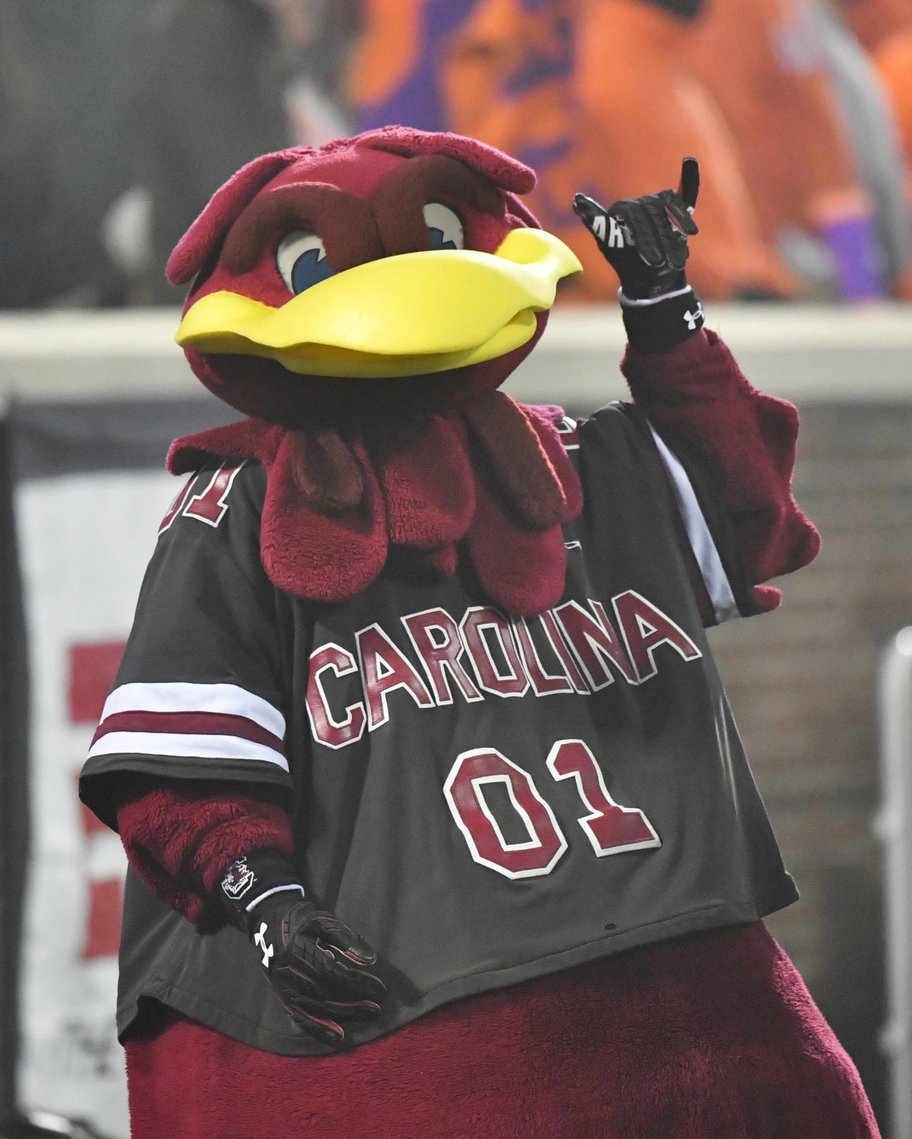 Clemson vs South Carolina 2018-107.jpg